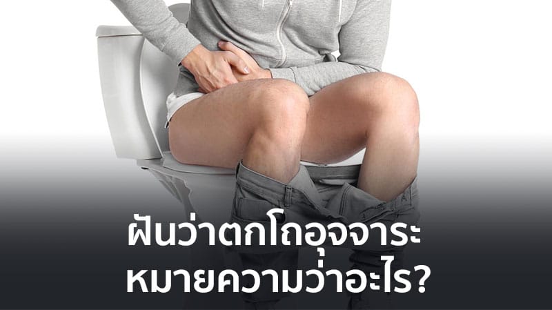 ฝันว่าตกโถขี้