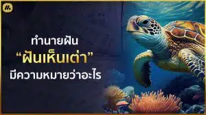 ฝันเห็นเต่า