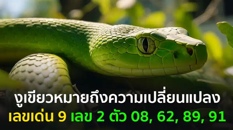 เลขเด็ดฝันเห็นงูเขียว