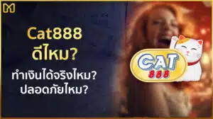 cat888 ดีไหม